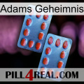 Adams Secret 05